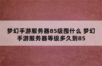 梦幻手游服务器85级囤什么 梦幻手游服务器等级多久到85